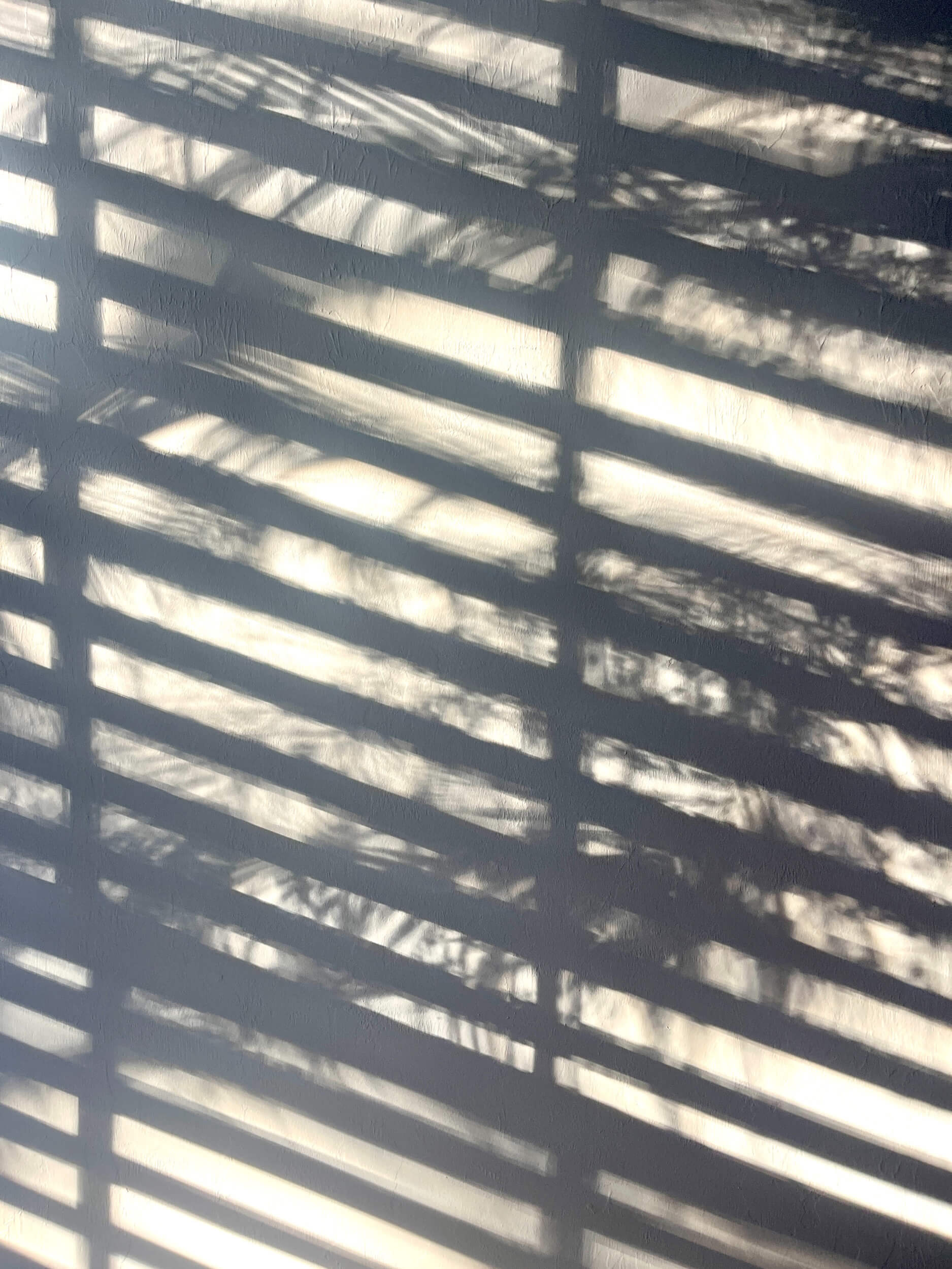 colton-johnson-dnFf6VPwl9k-unsplash