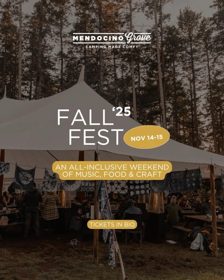 Fall Fest returns November 14 &amp;amp; 15 at Mendocino Grove &amp;mdash; a weekend of music, food, crafts, and coastal magic. 🎶

Wander under redwoods, savor seasonal fare like Thai green curry, chicken pot pie, and chile con carne, browse artisan crafts (