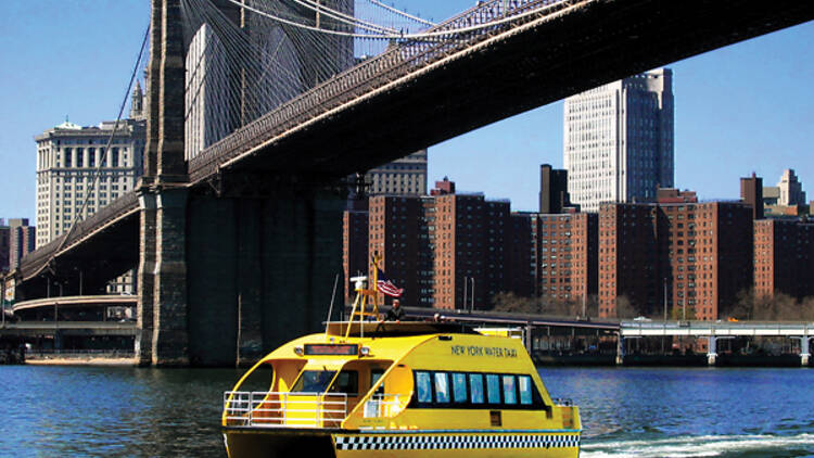 New York Water Taxi Cruises