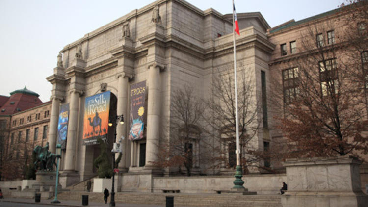 American Museum of Natural History