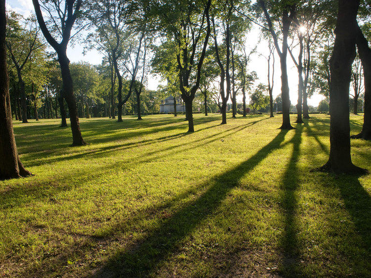 The best NYC parks The best NYC parks