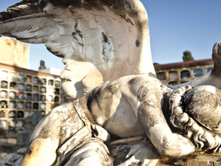 Sorprenderse en los cementerios de Barcelona