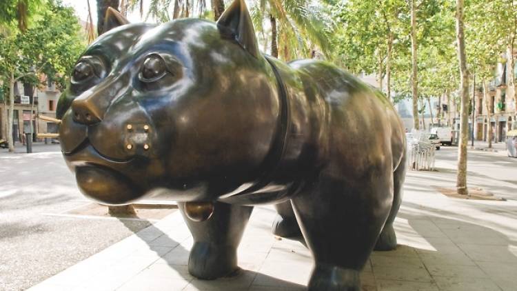 El gat de Botero