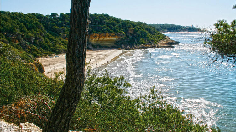 Cala Fonda (Tarragona) 