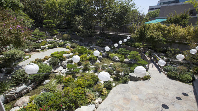 James Irvine Japanese Garden
