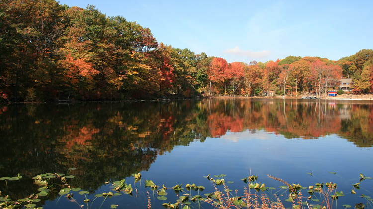 Greenbelt Nature Center, Staten Island