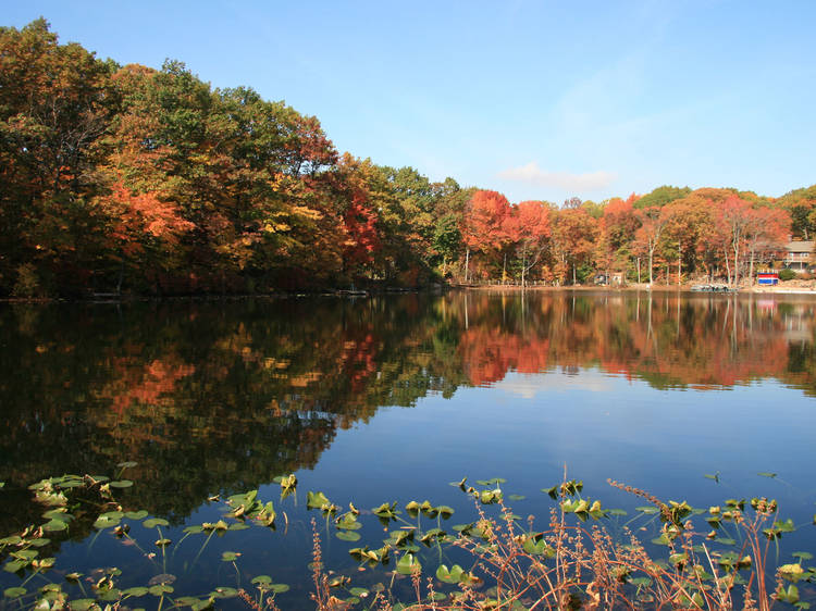 Greenbelt Nature Center, Staten Island