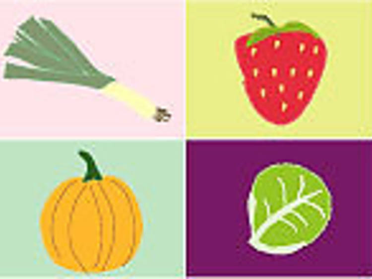  Seasonal