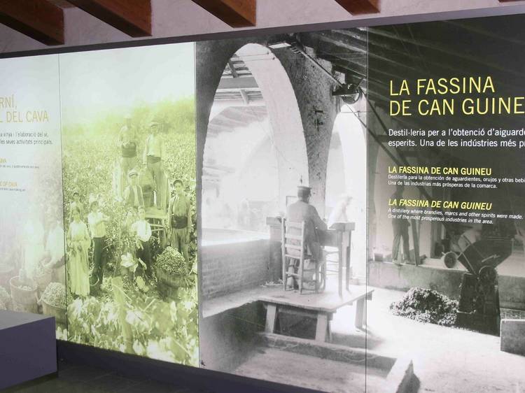Centre d'Interpretació del Cava La Fassina