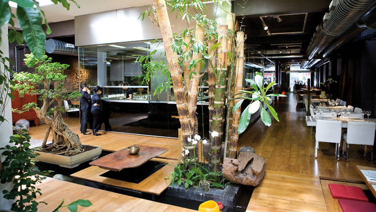 Indochine Ly Leap
