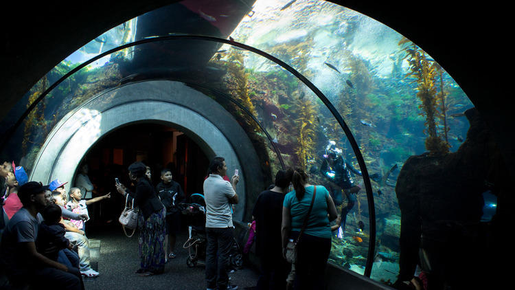 California Science Center