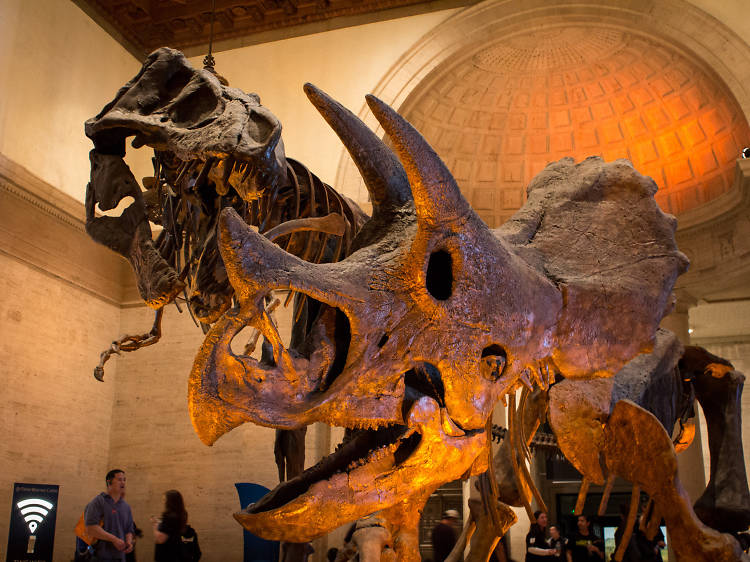 The 20 best things to do in Los Angeles with kids