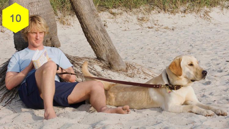 Marley & Me (David Frankel, 2008)