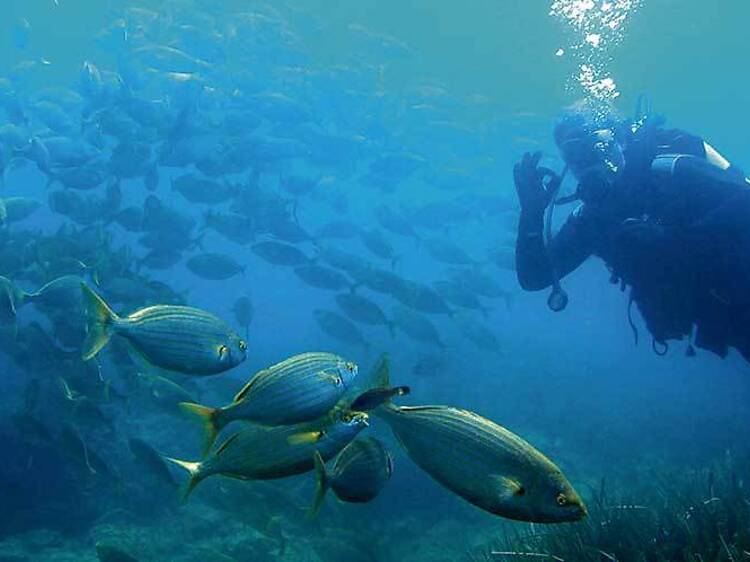 Islas Medes