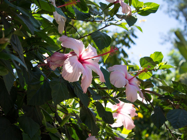 Los Angeles Zoo & Botanical Gardens