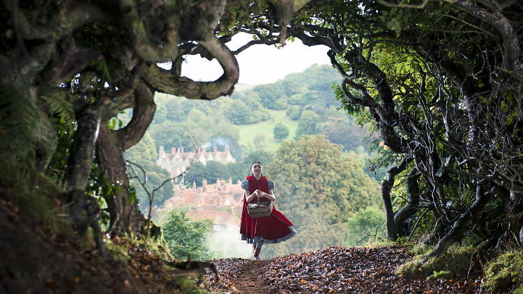 Into the Woods