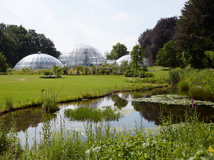 Botanischer Garten