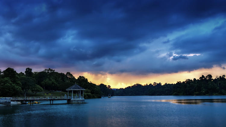MacRitchie Reservoir
