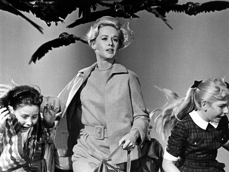 Tippi Hedren: una historia de pájaros y leones