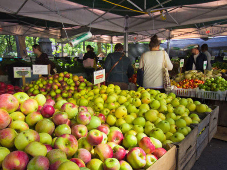 The best farmers’ markets in NYC The best farmers’ markets in NYC