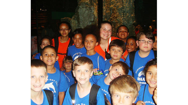 Blue Dolphin Summer Camp: Transformers