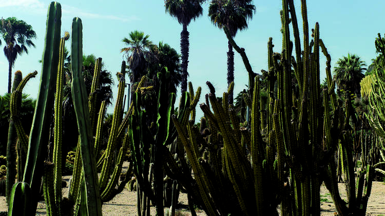Jardines Mossèn Costa i Llobera