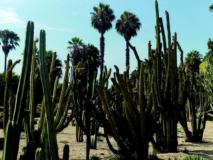 Jardines Mossèn Costa i Llobera