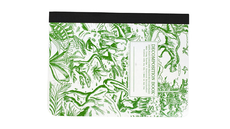 Ages 9–11: Dinosaurs Decomposition book 