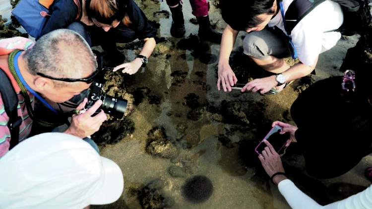 Sisters' Island Marine Park