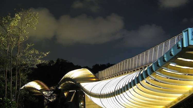 Mount Faber Nature Walk