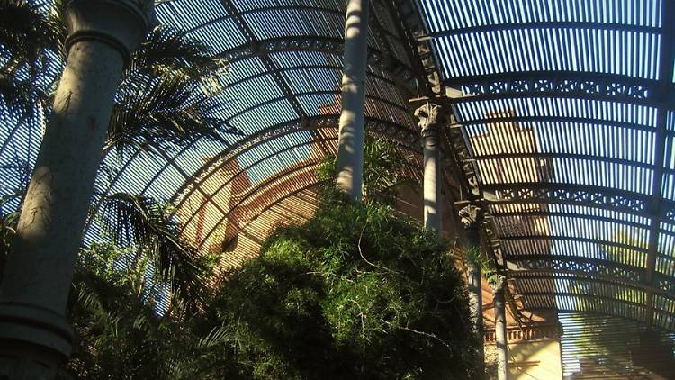 Encontrar la tranquilidad en  el Umbracle