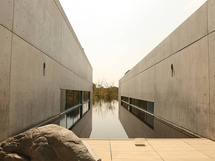 Pulitzer Arts Foundation | St. Louis, MO
