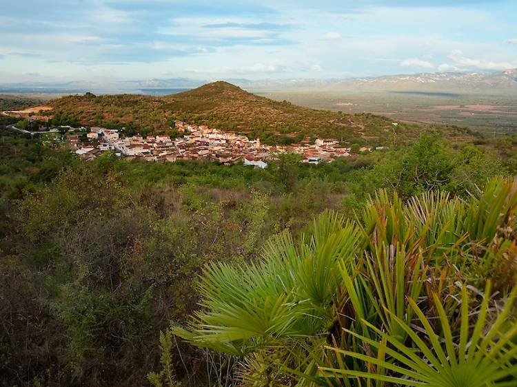Caminamos por la Serra de Godall 