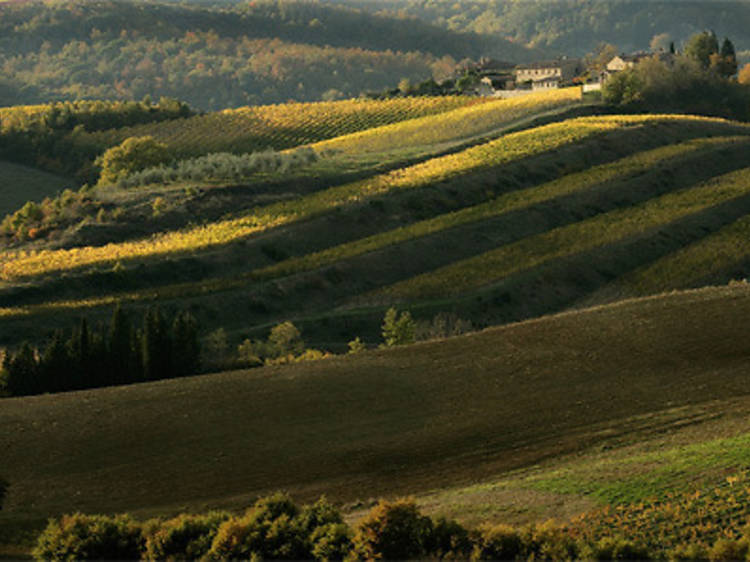 Toskana büyüsü Chianti