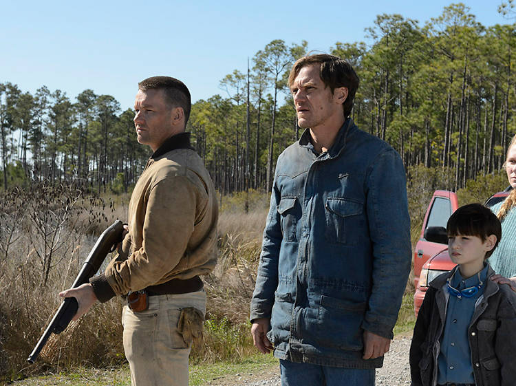 Joel Edgerton talks Midnight Special, Loving, diversity in Hollywood and alien life