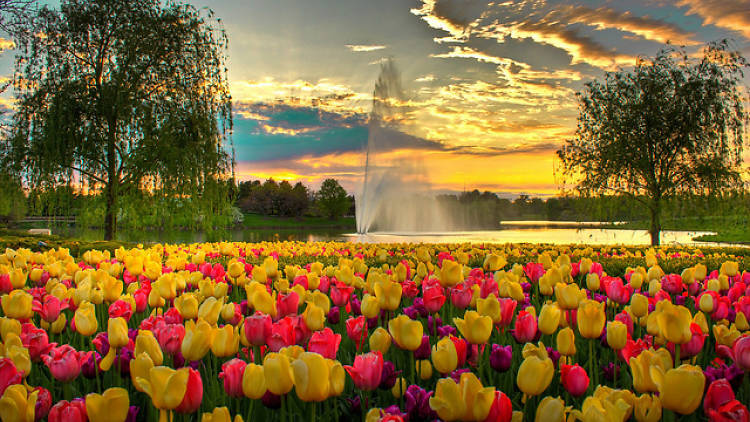 Chicago Botanic Garden