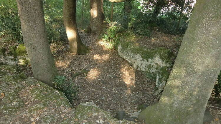 Les Estunes (Porqueres) Les Estunes (Porqueres)