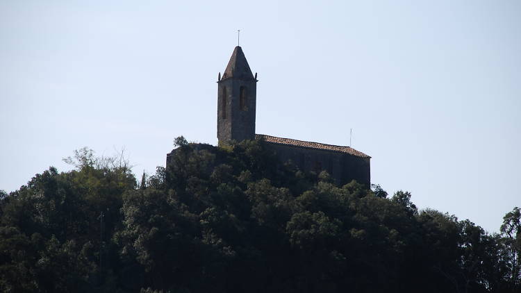Bosque de Castanyet (Santa Coloma de Farners)