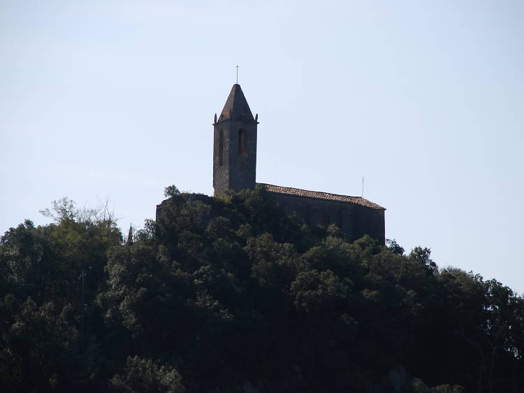 Bosque de Castanyet (Santa Coloma de Farners)