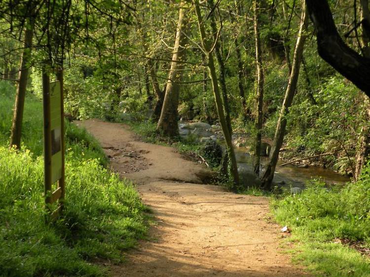 Rincones secretos de Girona