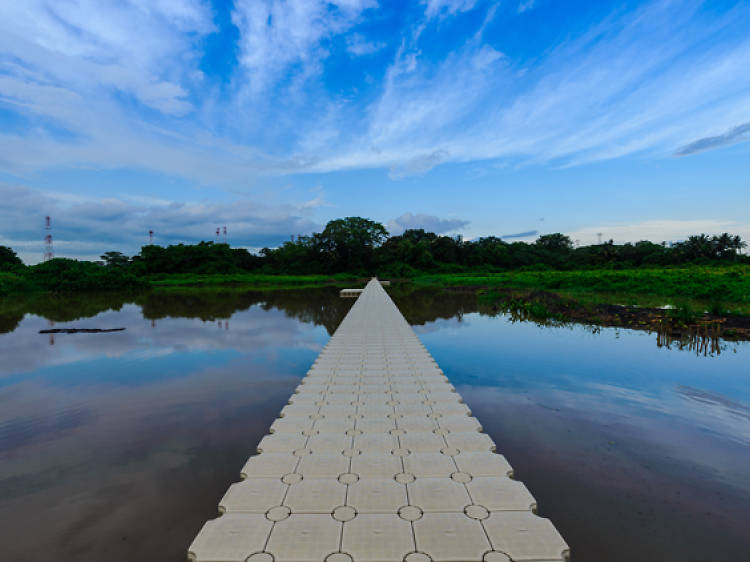 Take an epic shot of the floating boardwalk