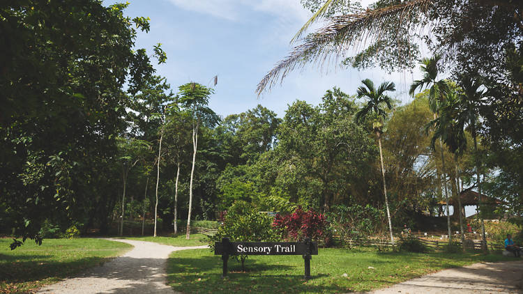 Sensory Trail, Pulau Ubin