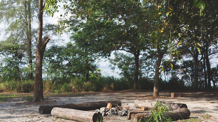 Jelutong campsite, Pulau Ubin