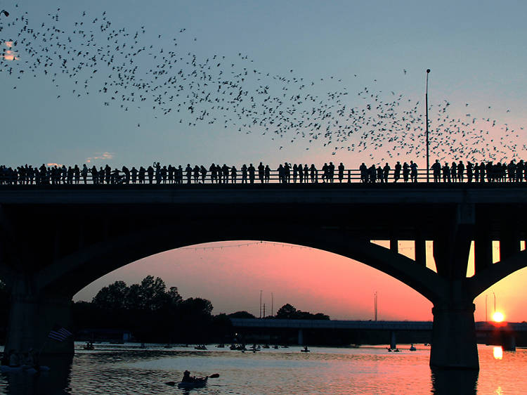 Can't-miss Austin attractions Can't-miss Austin attractions