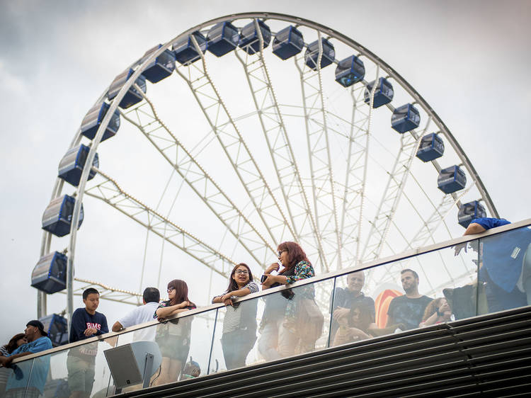 Navy Pier Centennial Wheel