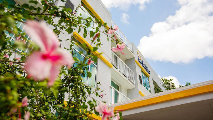 Hotel Urbano