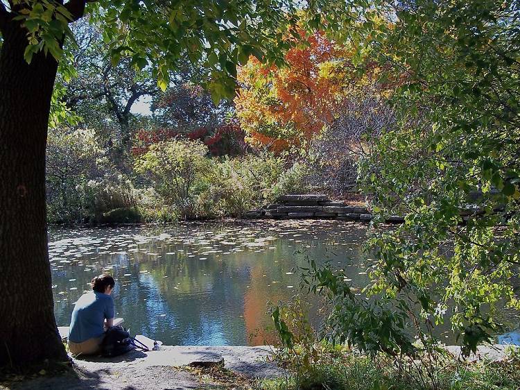 14 secret parks and gardens in Chicago