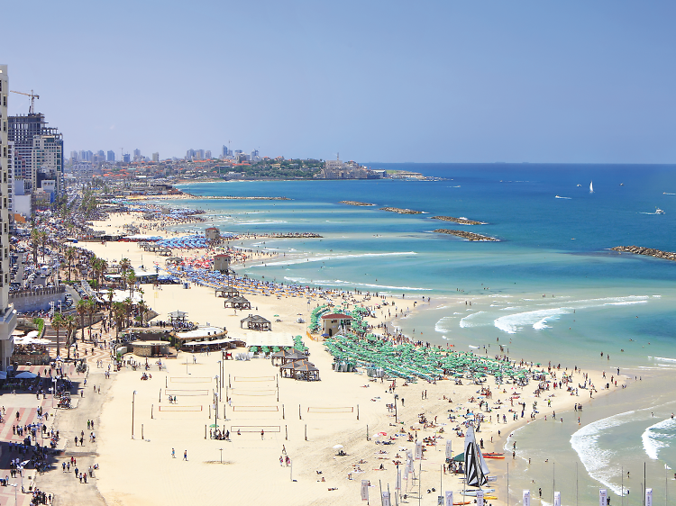 À ne pas manquer à Tel-Aviv À ne pas manquer à Tel-Aviv