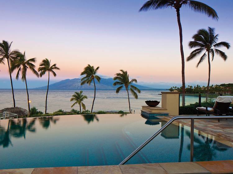A whale watcher's guide to Maui