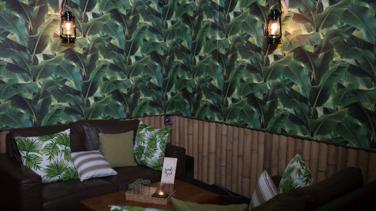 JungleBird